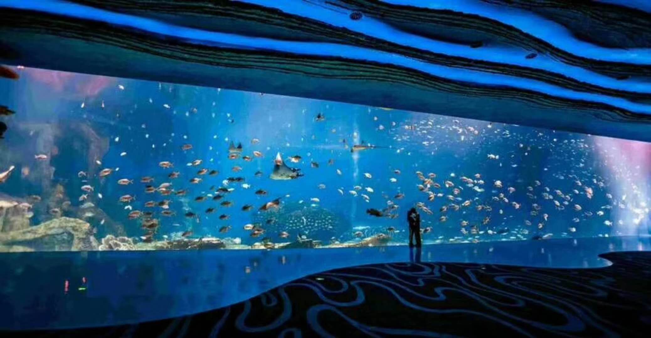 海洋館水族館生物養(yǎng)殖用水臭氧殺菌，滅藻